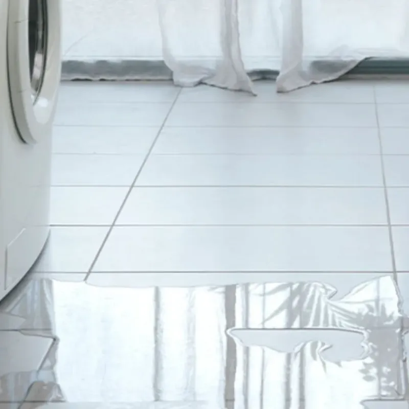 Appliance Leak Cleanup in Meadowdale, WA